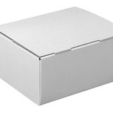Kartons 20 Nestler Versandkartons Pack-Set S 25,0 x 17,5 x 10,0 cm von Nestler