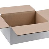 Faltkartons 20 Nestler Wellpapp-Faltkartons 1-wellig weiß 22,5 x 16,0 x 10,2 cm Außenmaß von Nestler